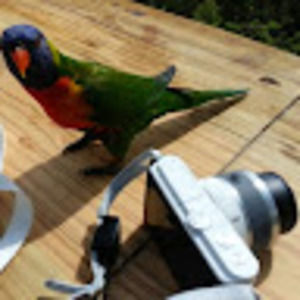 Meet your Posher, Heather